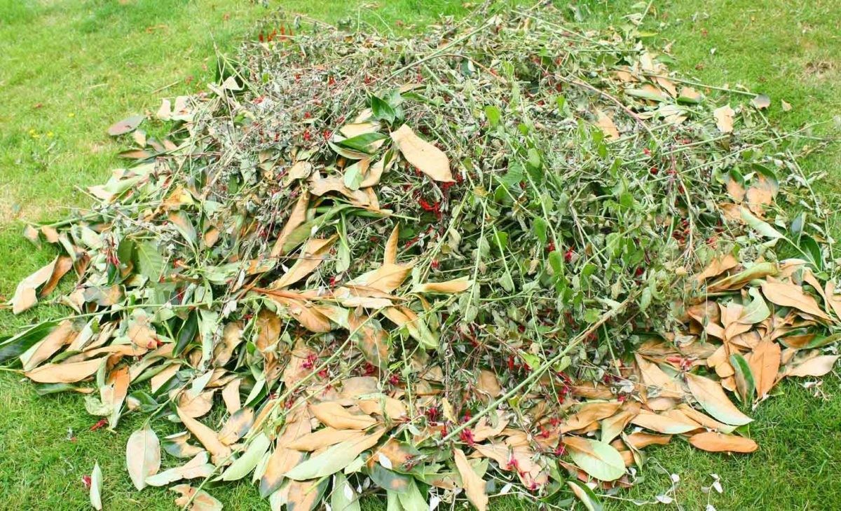 A pile of garden green waste cleared for removal in Melbourne